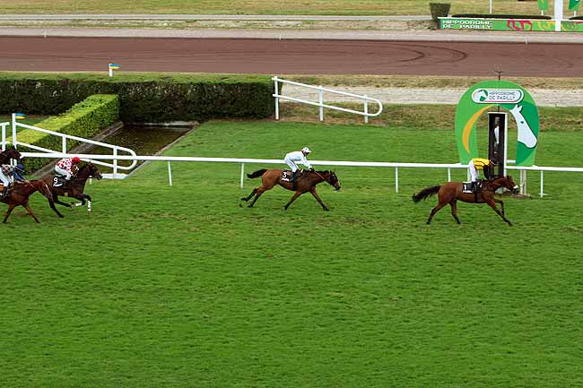 Arrivée quinté pmu GRAND STEEPLE CHASE DE LYON à LYON-PARILLY