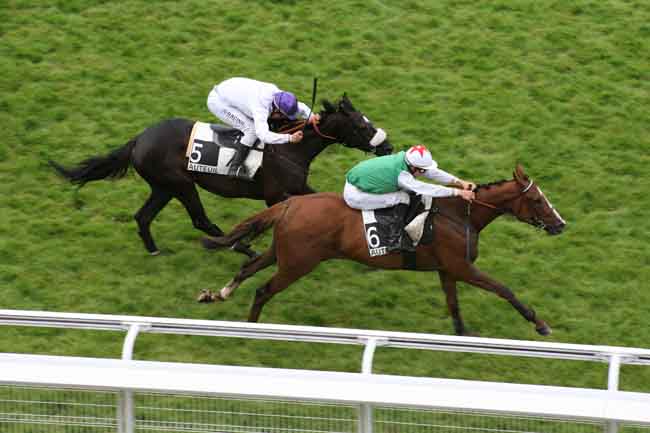 Arrivée quinté pmu PRIX D'IENA à AUTEUIL