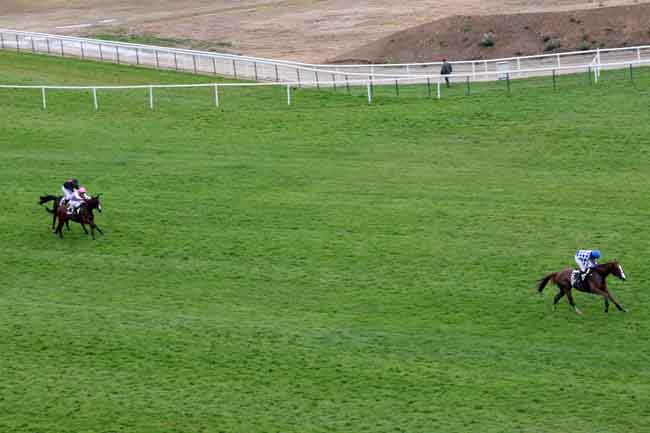 Arrivée quinté pmu PRIX BRISSAC à AUTEUIL