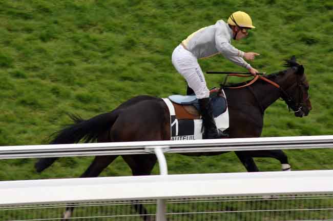 Arrivée quinté pmu PRIX MIROR à AUTEUIL