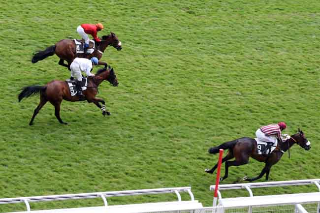 Arrivée quinté pmu PRIX CHRISTIAN DE TREDERN à AUTEUIL