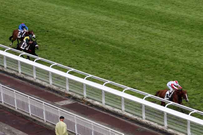 Arrivée quinté pmu PRIX DE ROYAN (GR B) à AUTEUIL