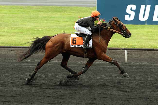 Arrivée quinté pmu PRIX D'ARLES à PARIS-VINCENNES