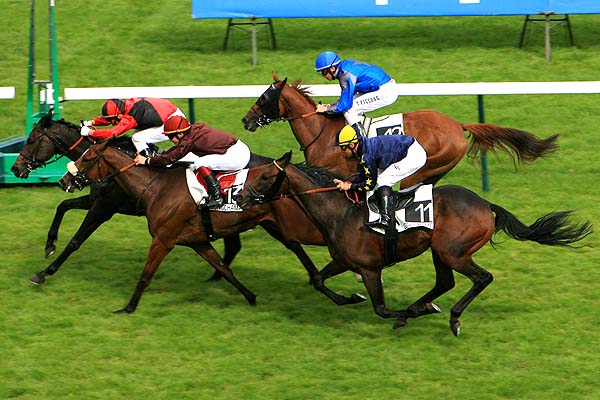 Arrivée quinté pmu PRIX DU PARC MONTSOURIS à LONGCHAMP