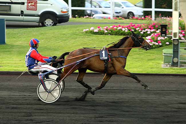 Arrivée quinté pmu PRIX TOLOSA à PARIS-VINCENNES