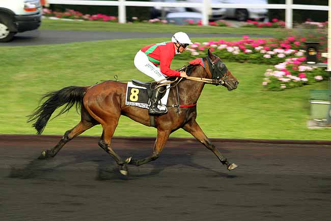Arrivée quinté pmu PRIX POLANA à PARIS-VINCENNES
