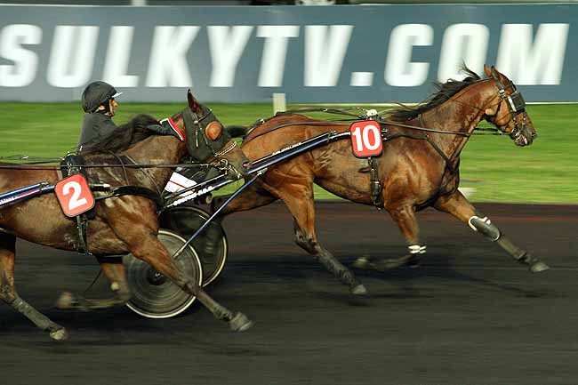Arrivée quinté pmu PRIX CELUTA à PARIS-VINCENNES