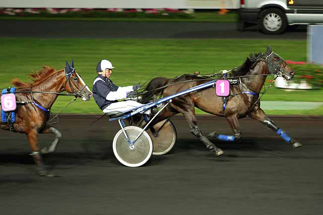 Arrivée quinté pmu PRIX CORONIS à PARIS-VINCENNES