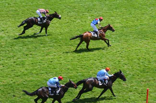 Arrivée quinté pmu PRIX ALAIN DU BREIL - COURSE DE HAIES D'ETE DES QUATRE ANS à AUTEUIL