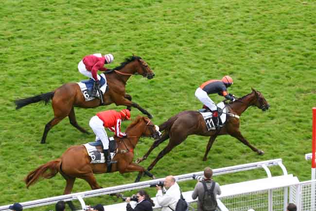 Arrivée quinté pmu PRIX HARDATIT à AUTEUIL
