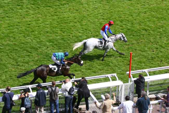 Arrivée quinté pmu GRANDE COURSE DE HAIES D'AUTEUIL à AUTEUIL