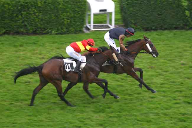 Arrivée quinté pmu PRIX DU NOUVEAU CERCLE DE L'UNION (PRIX KATKO) à AUTEUIL