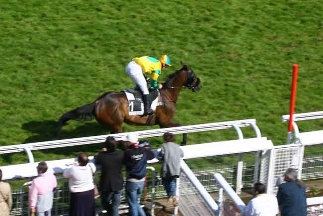 Arrivée quinté pmu PRIX GACKO à AUTEUIL
