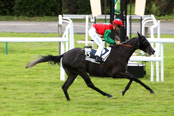 Arrivée quinté pmu PRIX NIKELLORA à MAISONS-LAFFITTE