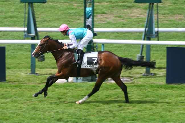 Arrivée quinté pmu PRIX DU PONT DU ROI à CHANTILLY