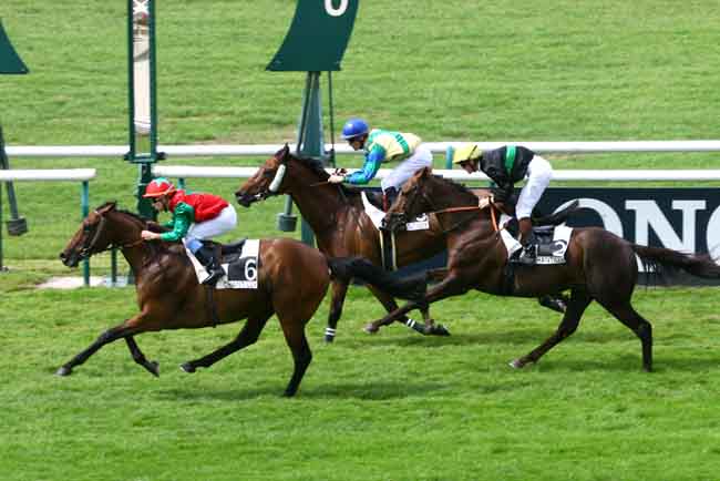 Arrivée quinté pmu PRIX SERGE BOIREAU à CHANTILLY