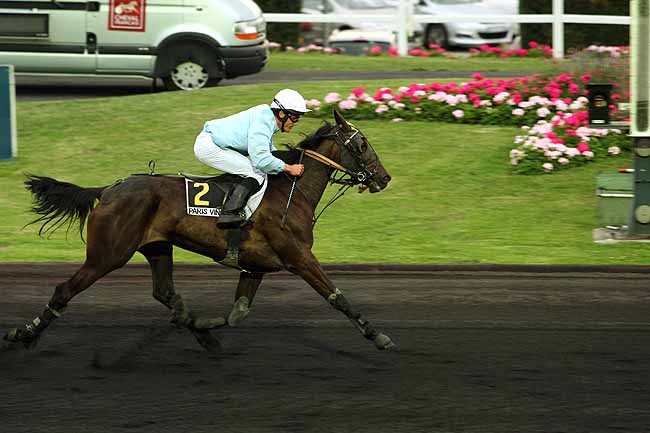Arrivée quinté pmu PRIX TORONTIUS à PARIS-VINCENNES