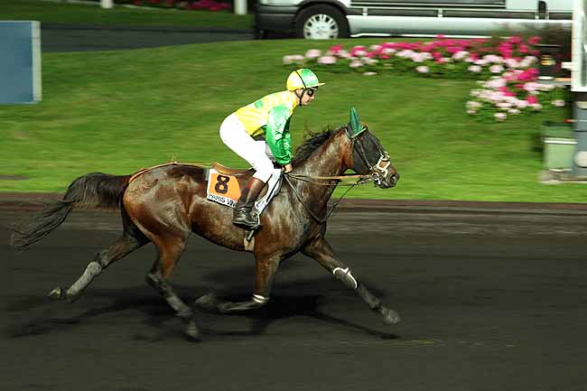 Arrivée quinté pmu PRIX SITA à PARIS-VINCENNES