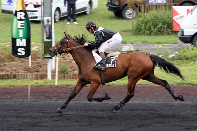 Arrivée quinté pmu PRIX DU JOURNAL L'UNION à REIMS