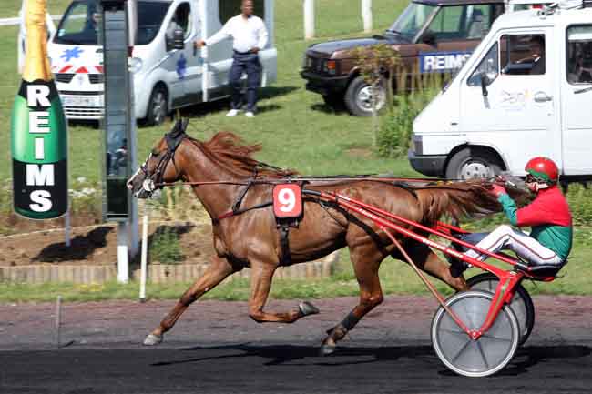 Arrivée quinté pmu PRIX DE L'UNAT à REIMS