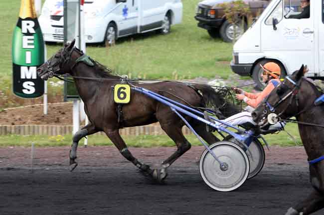 Arrivée quinté pmu PRIX PATRICK SIMON à REIMS