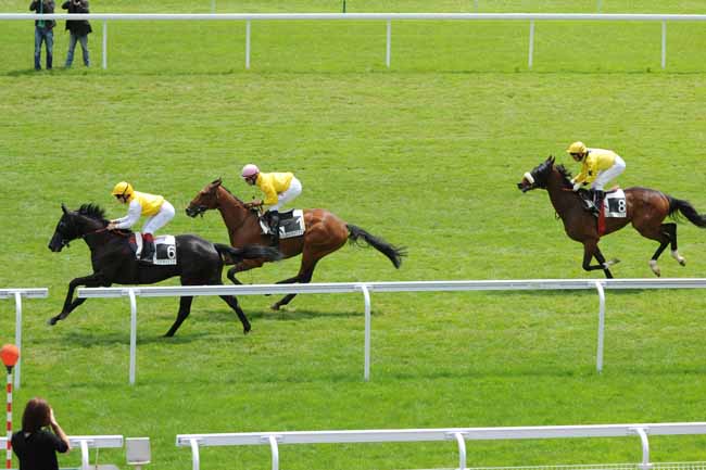 Arrivée quinté pmu PRIX DUPLEX à MAISONS-LAFFITTE
