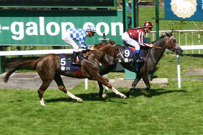 Arrivée quinté pmu THE PRESIDENT OF THE UAE CUP (COUPE D'EUROPE DES CHEVAUX ARABES) à SAINT-CLOUD