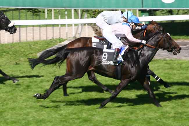 Arrivée quinté pmu PRIX DE LA JALLE à SAINT-CLOUD