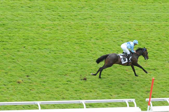 Arrivée quinté pmu PRIX DU DEFILE à AUTEUIL