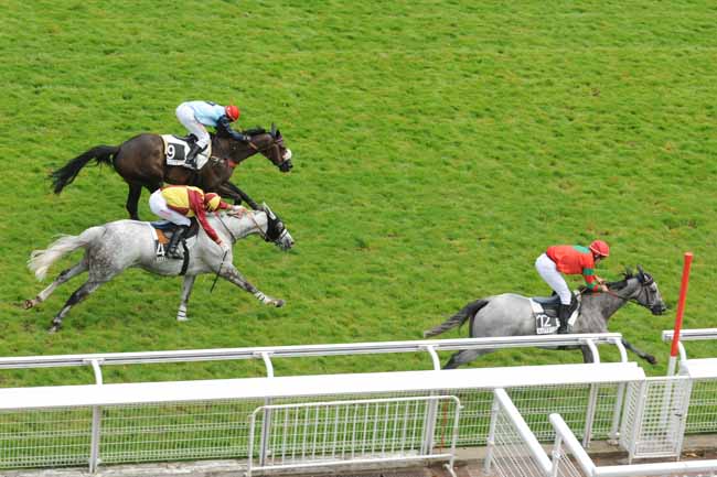 Arrivée quinté pmu PRIX DAWN RUN à AUTEUIL