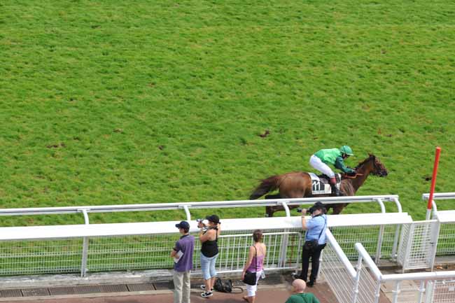 Arrivée quinté pmu PRIX D'ACHERES à AUTEUIL