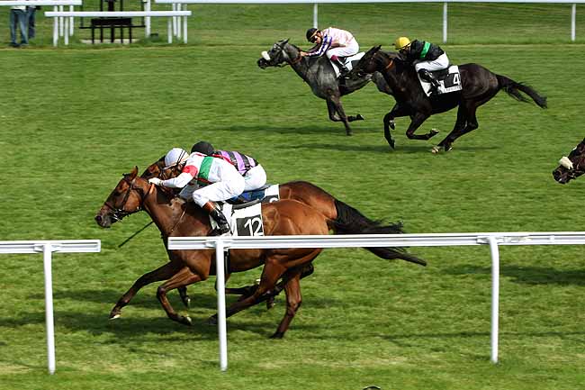 Arrivée quinté pmu PRIX DE LA FORET DE MARLY à MAISONS-LAFFITTE