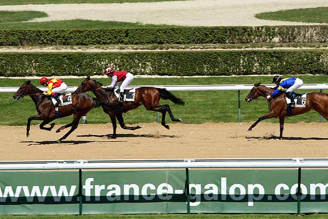 Arrivée quinté pmu PRIX DE SENONCHES à DEAUVILLE
