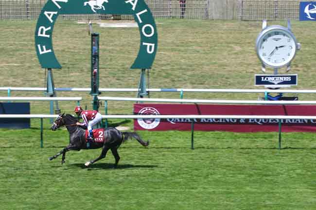 Arrivée quinté pmu QATAR COUPE DE FRANCE DES CHEVAUX ARABES à CHANTILLY