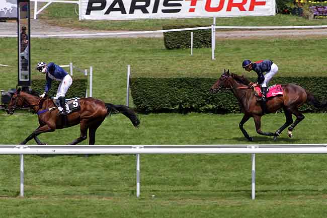 Arrivée quinté pmu PRIX PARIS-TURF (PRIX LEOPOLD D'ORSETTI) à CLAIREFONTAINE