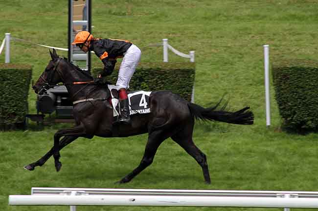 Arrivée quinté pmu PRIX REGIE SPORT (PRIX DU CASINO) à CLAIREFONTAINE