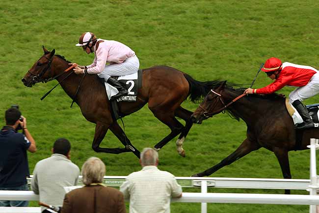 Arrivée quinté pmu PX DE LA COMMUNAUTE DE COMMUNES COEUR COTE FLEURIE (PX PAQUERETTES) à CLAIREFONTAINE