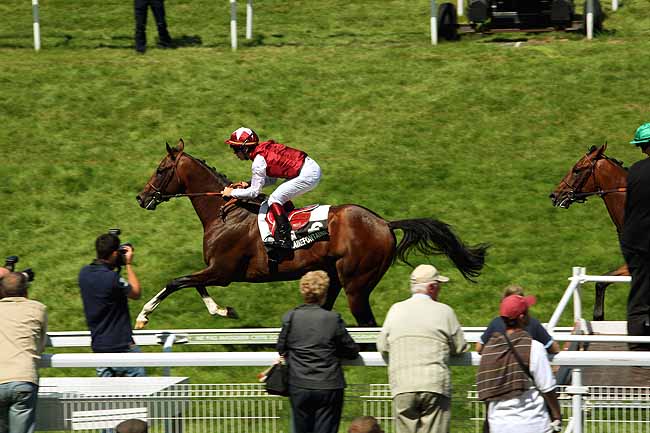 Arrivée quinté pmu PRIX VEOLIA EAU (PRIX DE LA POINTE DU HOC) à CLAIREFONTAINE