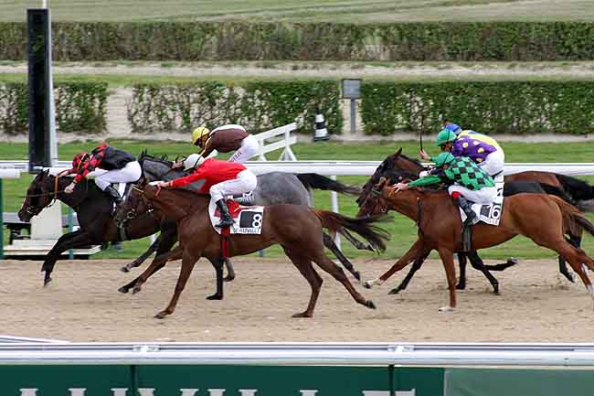Arrivée quinté pmu PRIX DE L'ANDELLE à DEAUVILLE