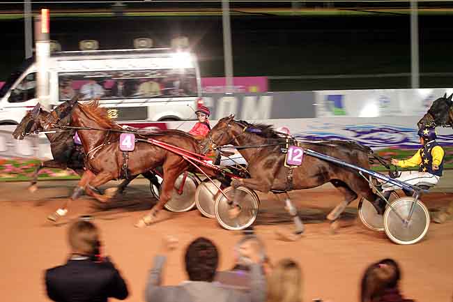 Arrivée quinté pmu PRIX DES AUBEPINES à CABOURG