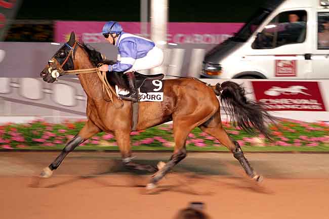 Arrivée quinté pmu PRIX DES GLAIEULS (GR B) à CABOURG