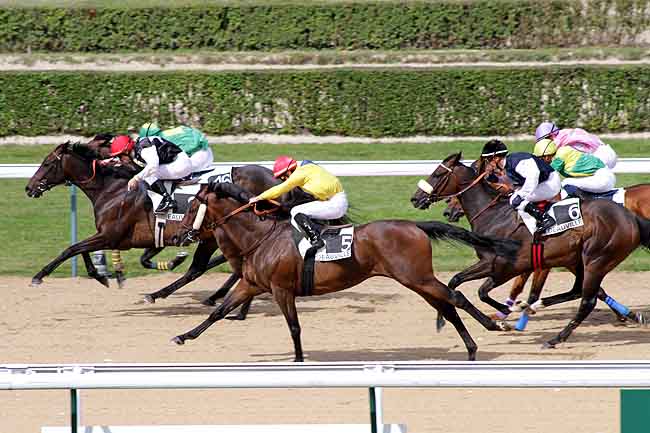 Arrivée quinté pmu PRIX DEAUVILLE AIME LE CHEVAL (PRIX DE LA MERITE) à DEAUVILLE