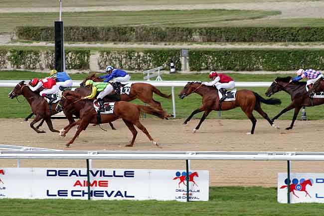 Arrivée quinté pmu PRIX DU CARREFOUR SAINT-JEAN à DEAUVILLE