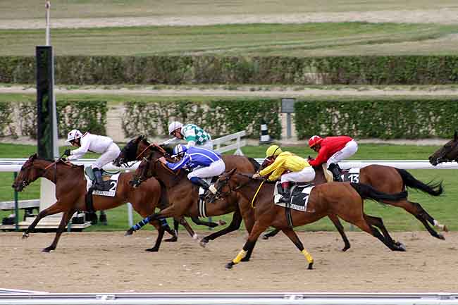 Arrivée quinté pmu PRIX DE L'ELFE à DEAUVILLE