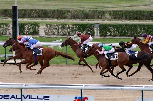 Arrivée quinté pmu PRIX DU LOGIS à DEAUVILLE