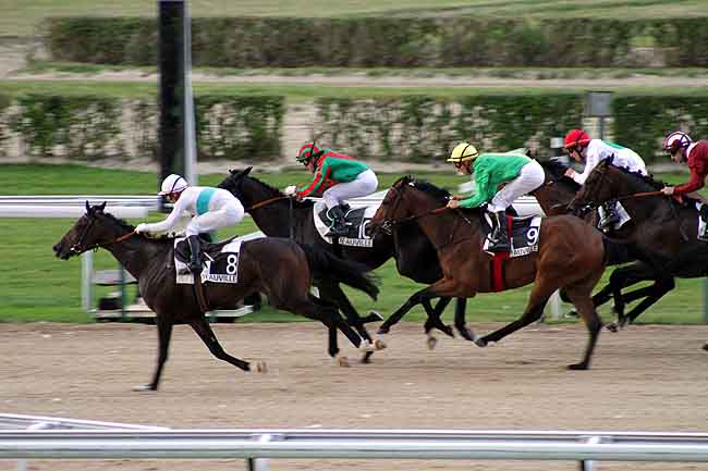 Arrivée quinté pmu PRIX DU COCHET à DEAUVILLE