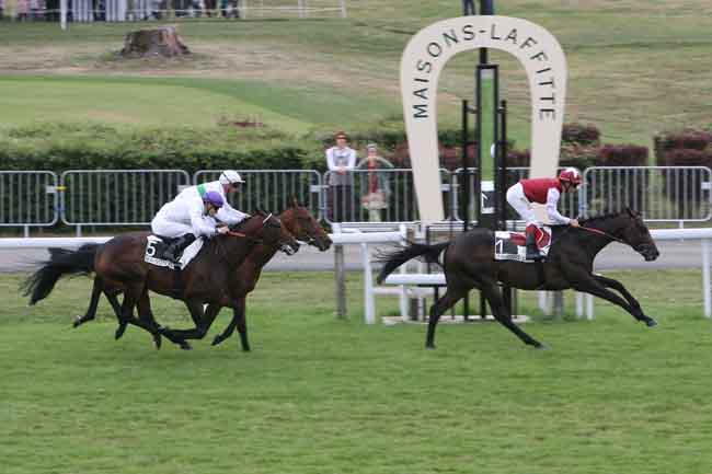 Arrivée quinté pmu PRIX TORNADO - PRIX CARREFOUR ET CENTRE COMMERCIAL MONTESSON à MAISONS-LAFFITTE
