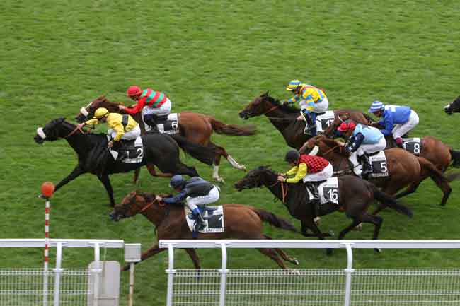 Arrivée quinté pmu PRIX DE LA VILLE DE MAISONS-LAFFITTE à MAISONS-LAFFITTE