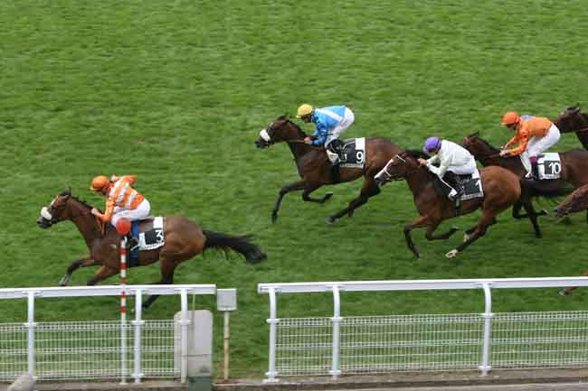 Arrivée quinté pmu PRIX AMANDINE à MAISONS-LAFFITTE