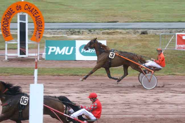 Arrivée quinté pmu PRIX PIERRE LEFEUVRE à CHATEAUBRIANT